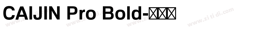 CAIJIN Pro Bold字体转换